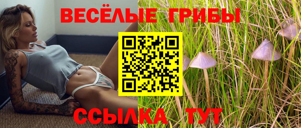 Псилоцибиновые грибы прущие грибы Королёв