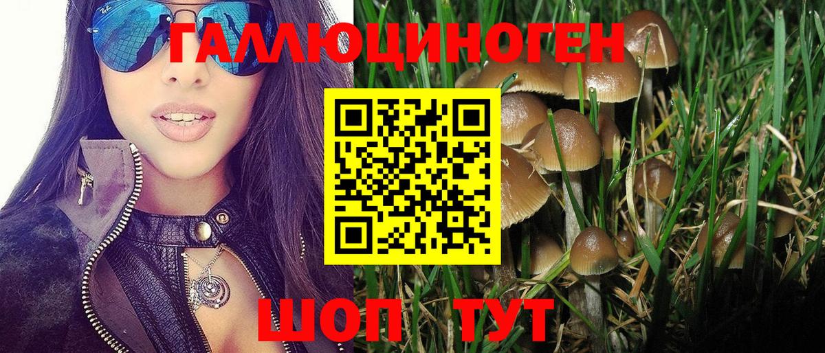 Королёв  Галлюциногенные грибы Psilocybine cubensis  Вход с VPN 